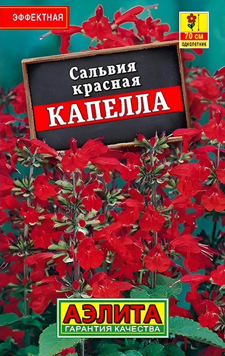 Сальвия Капелла, красная, 0,1 г