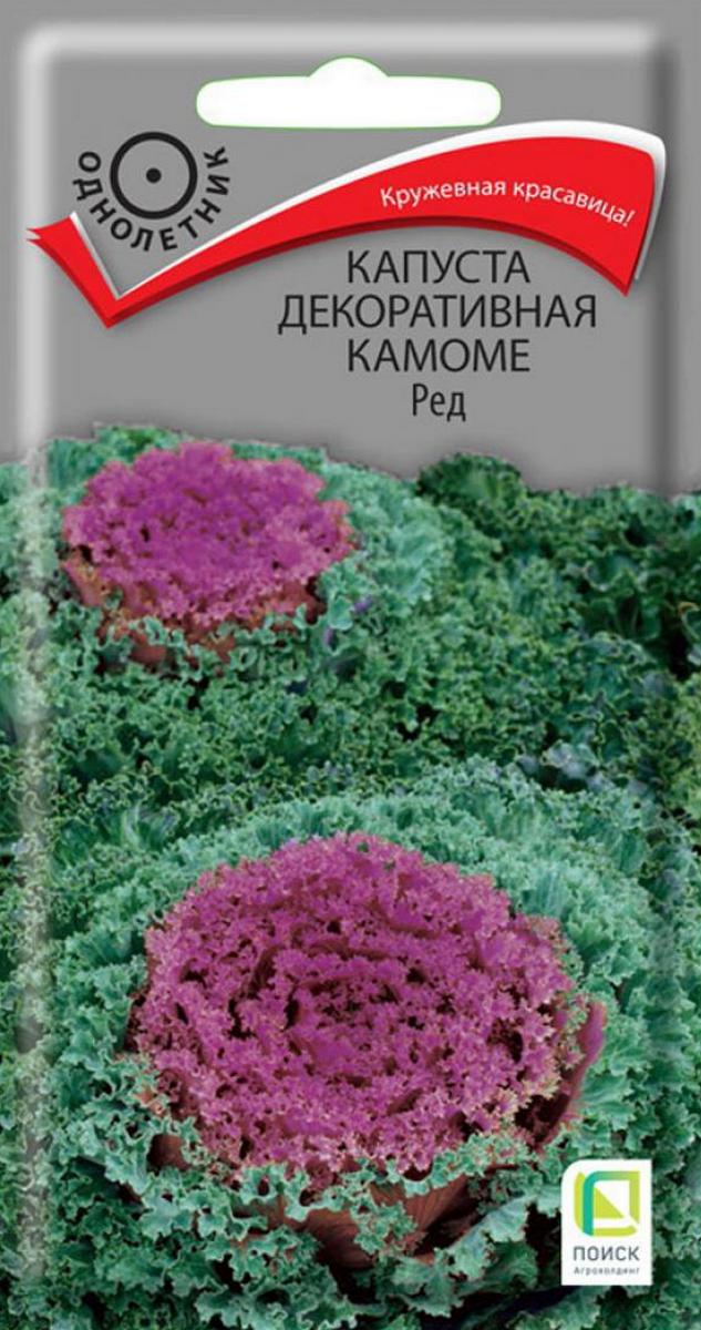 Капуста декоративная Камоме Ред, 10 шт.