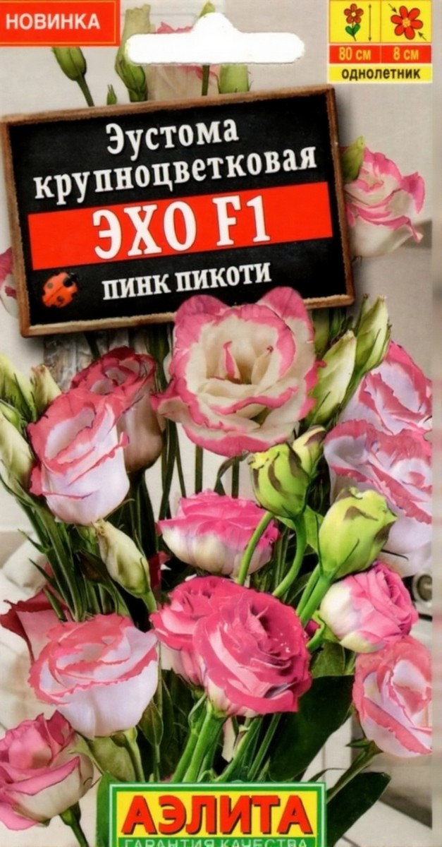 Эустома Эхо F1 пинк пикоти крупноцветковая, 5 шт.
