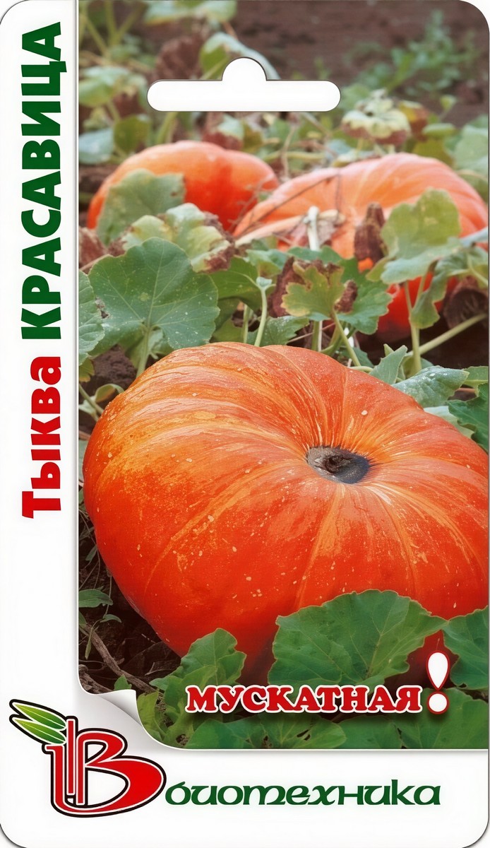 Тыква мускатная Красавица, 4 шт. Биотехника