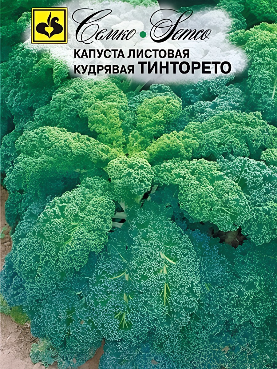 Капуста листовая кудрявая Тинторетто, 0,3 г