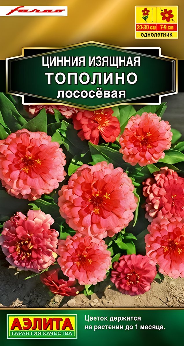 Цинния изящная Тополино, лососёвая, 12 шт.