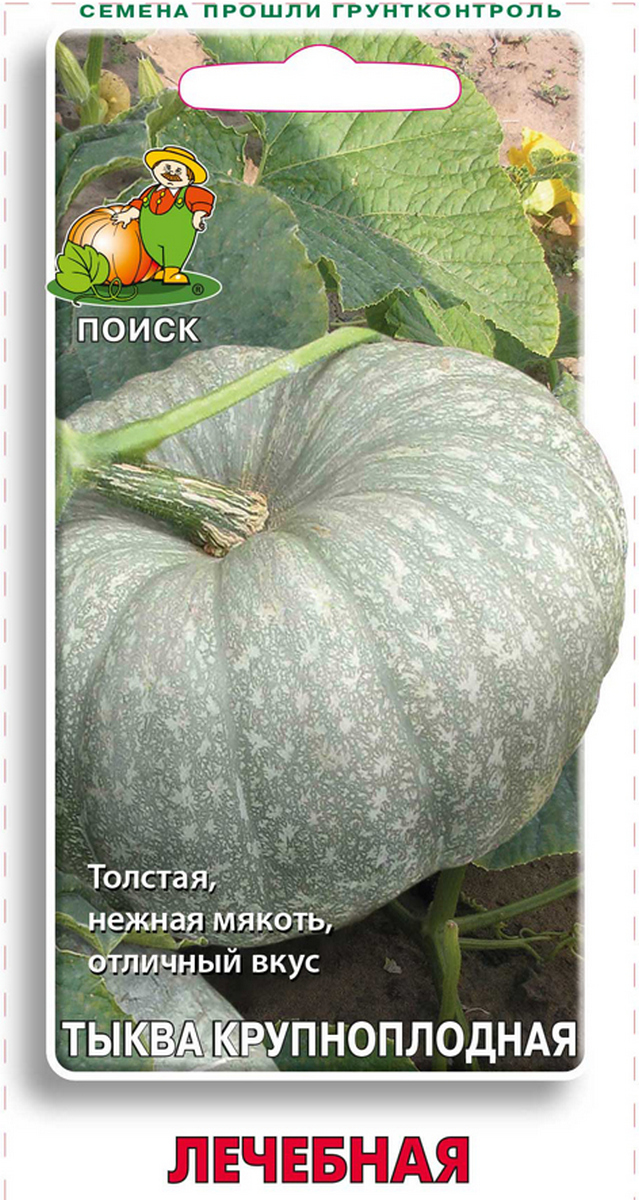 Тыква крупноплодная Лечебная, 10 шт.