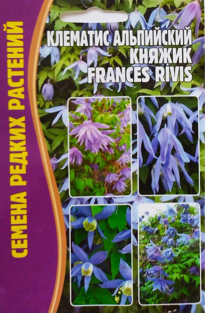 Клематис альпийский Княжик "Frances Rivis", 3 шт.
