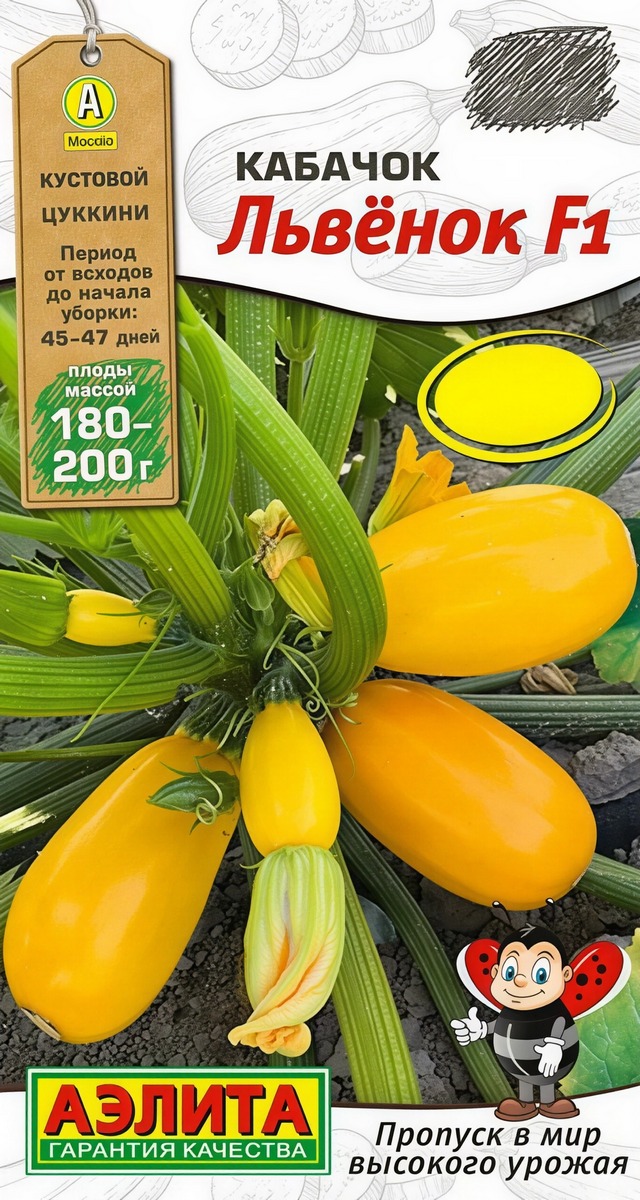 Кабачок цуккини Львёнок F1, 5 шт.