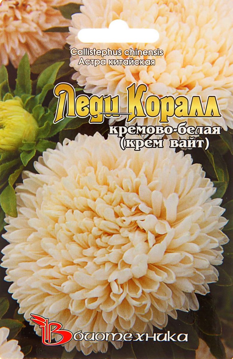 Астра Леди Коралл Крем Вайт, 40 шт. Биотехника