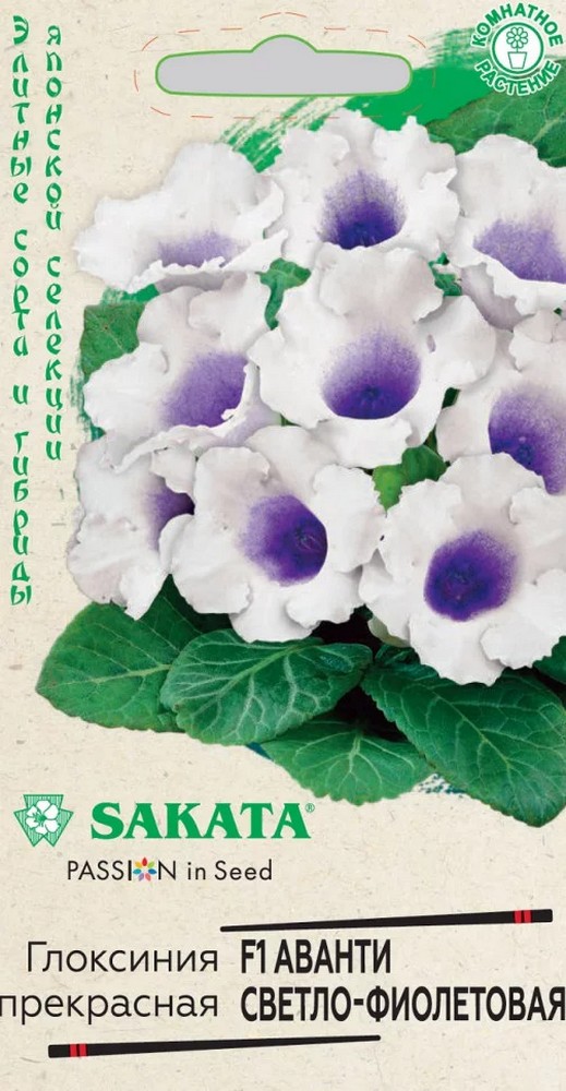 Глоксиния Аванти светло-фиолетовая F1, 4 шт. Саката.
