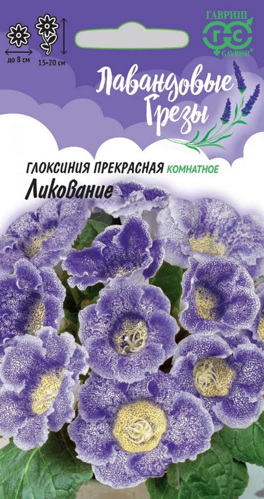 Глоксиния Ликование, 4 шт. Лавандовые грезы.