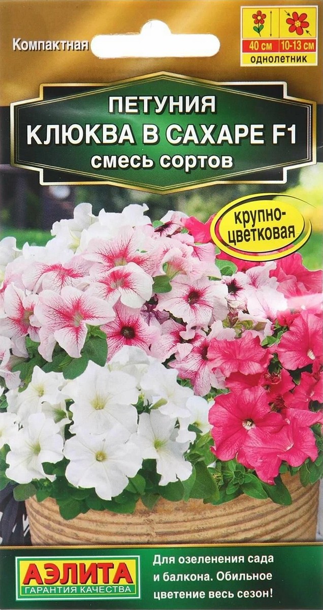 Петуния Клюква в сахаре F1 крупноцветковая, смесь сортов, 7 шт.