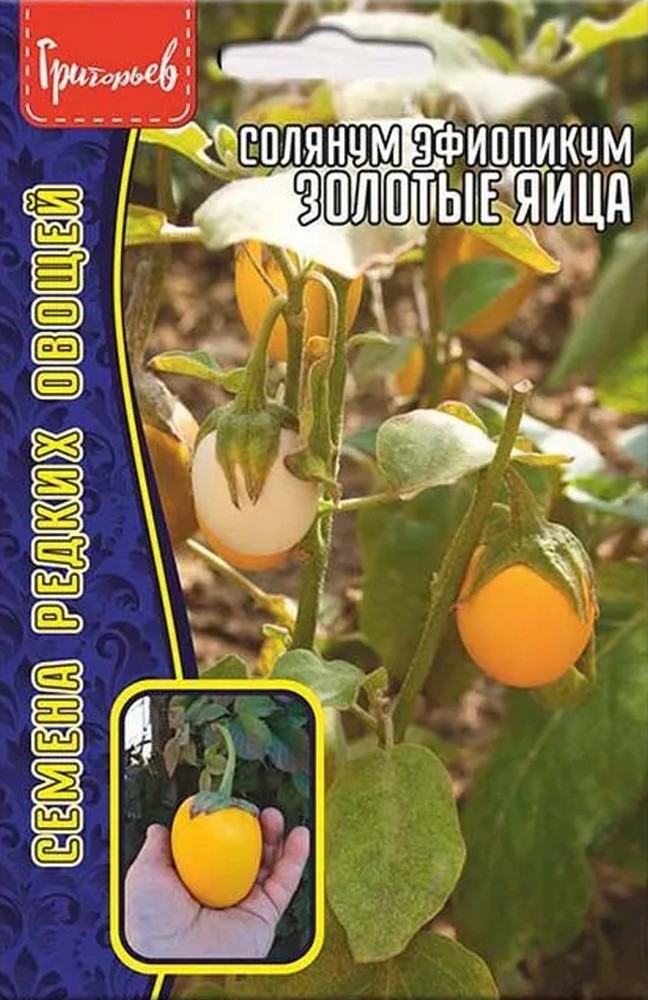 Солянум Эфиопикум  "Золотые Яйца", 12 шт. 