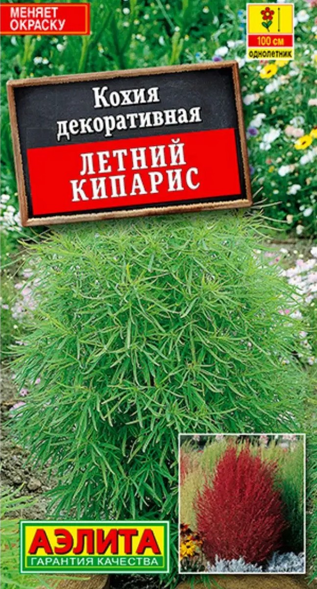 Кохия Летний кипарис, 0,3 г