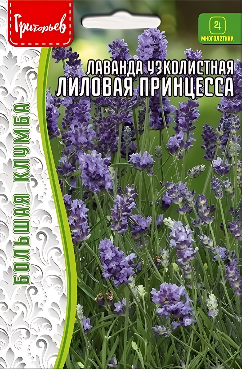 Лаванда узколистная Лиловая Принцесса, 30 шт.