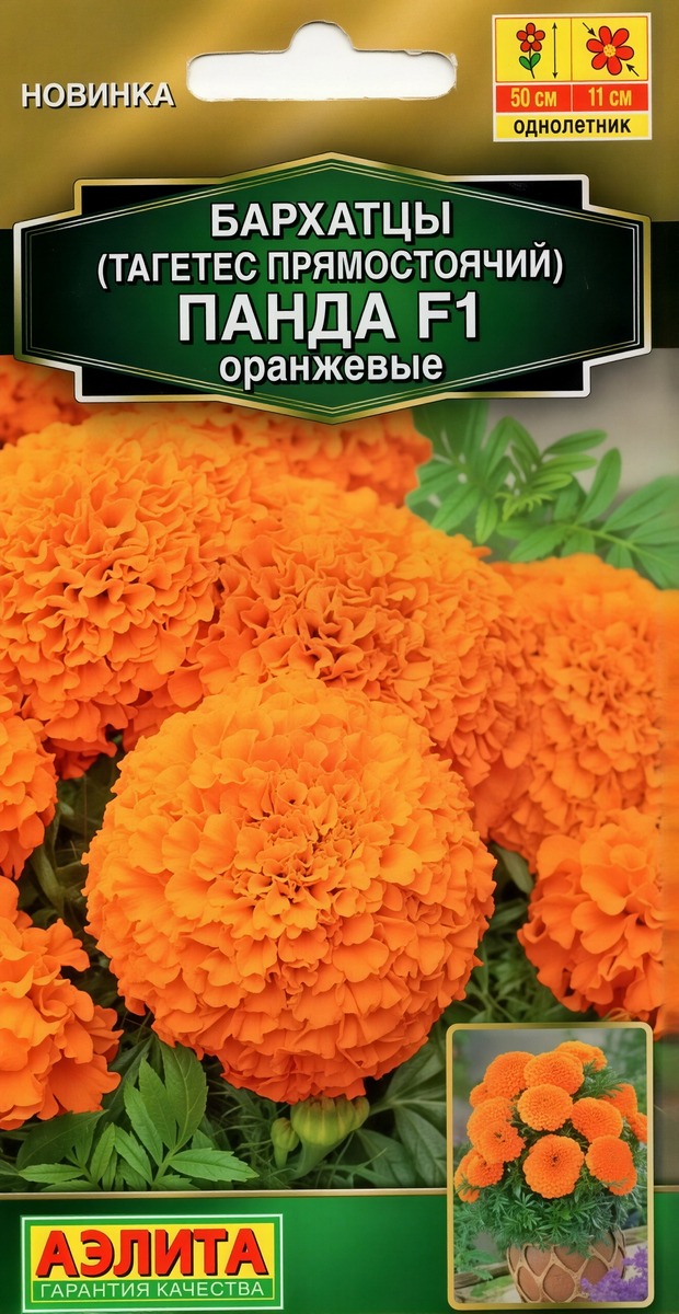 Бархатцы Панда F1 оранжевые прямостоячие, 7 шт.