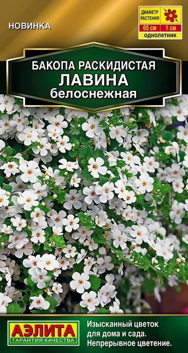 Бакопа раскидистая Лавина белоснежная, 3 шт.