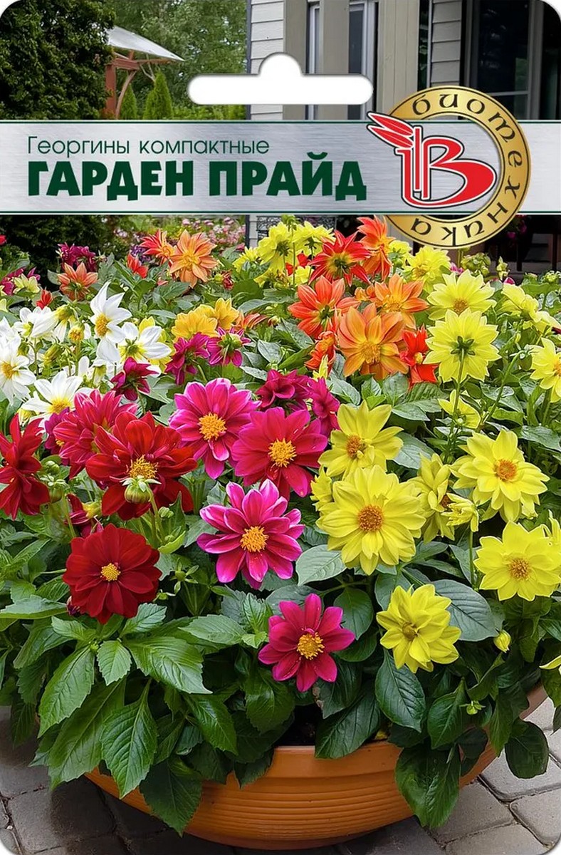 Георгины Гарден Прайд, 15 шт. Биотехника