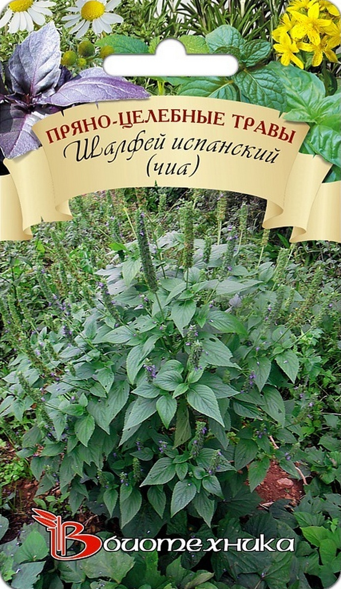 Шалфей испанский (чиа), 0,3 г Биотехника