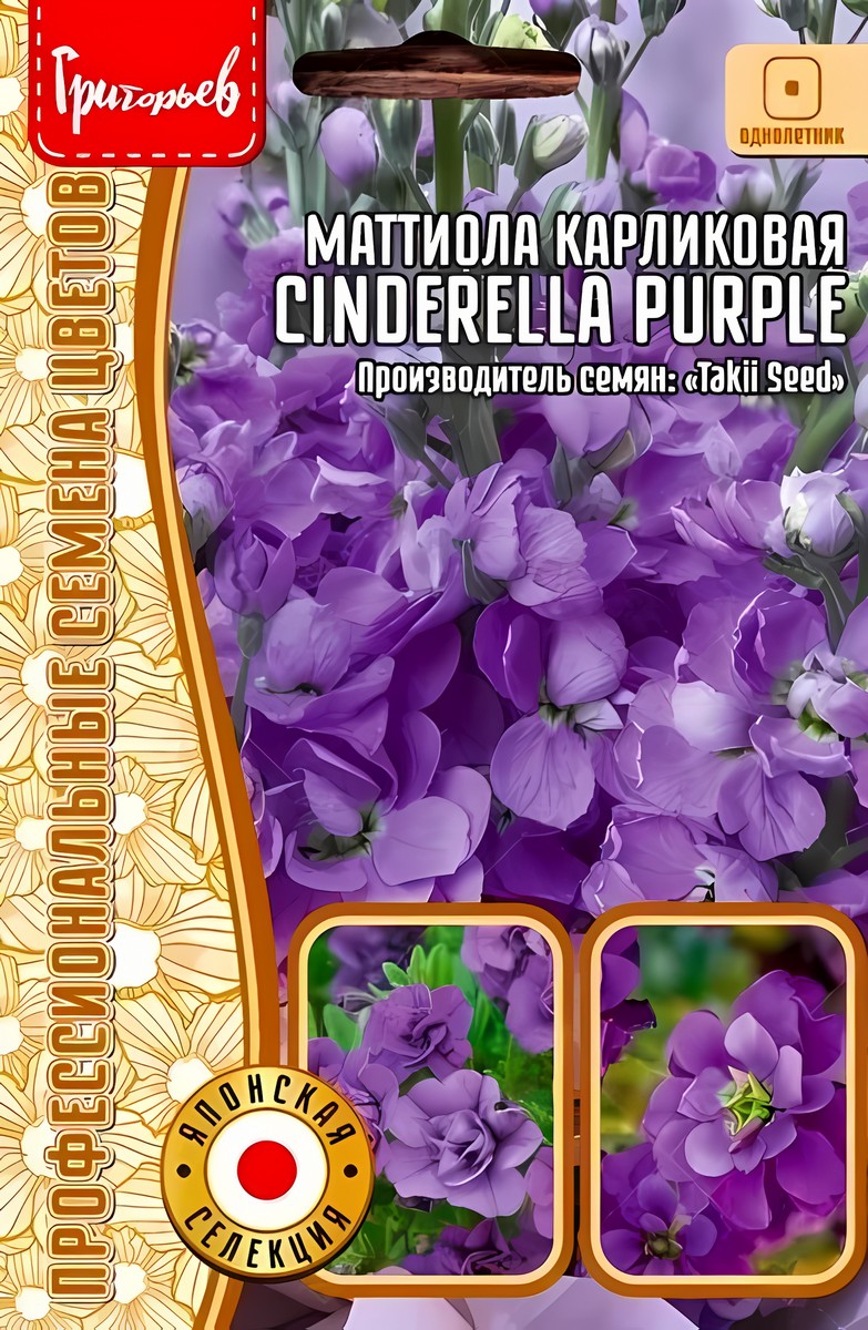 Маттиола карликовая Cinderella Purple (Золушка пурпурный), 5 шт.