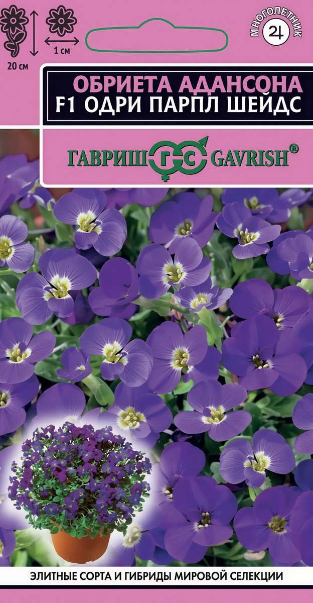 Обриета Одри Парпл шейдс F1, 10 шт. Элитная клумба 