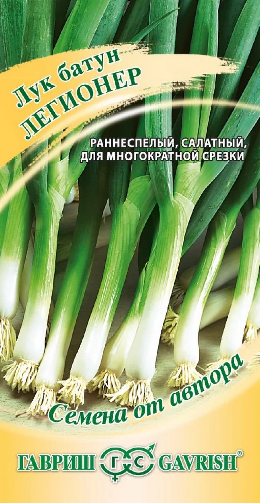 Лук батун Легионер, 1г. Авторские семена.