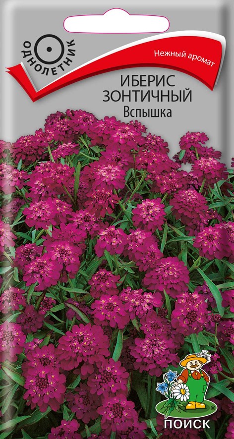 Иберис зонтичный Вспышка, 0,3 г