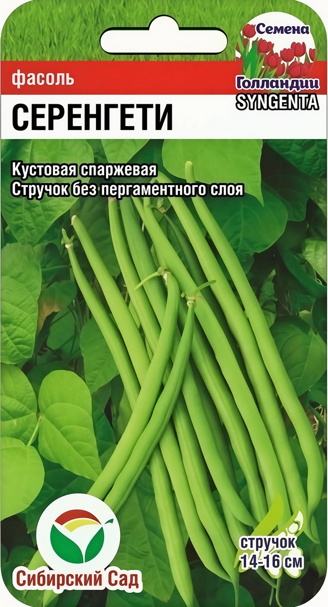 Фасоль спаржевая Серенгети, 15 шт. 