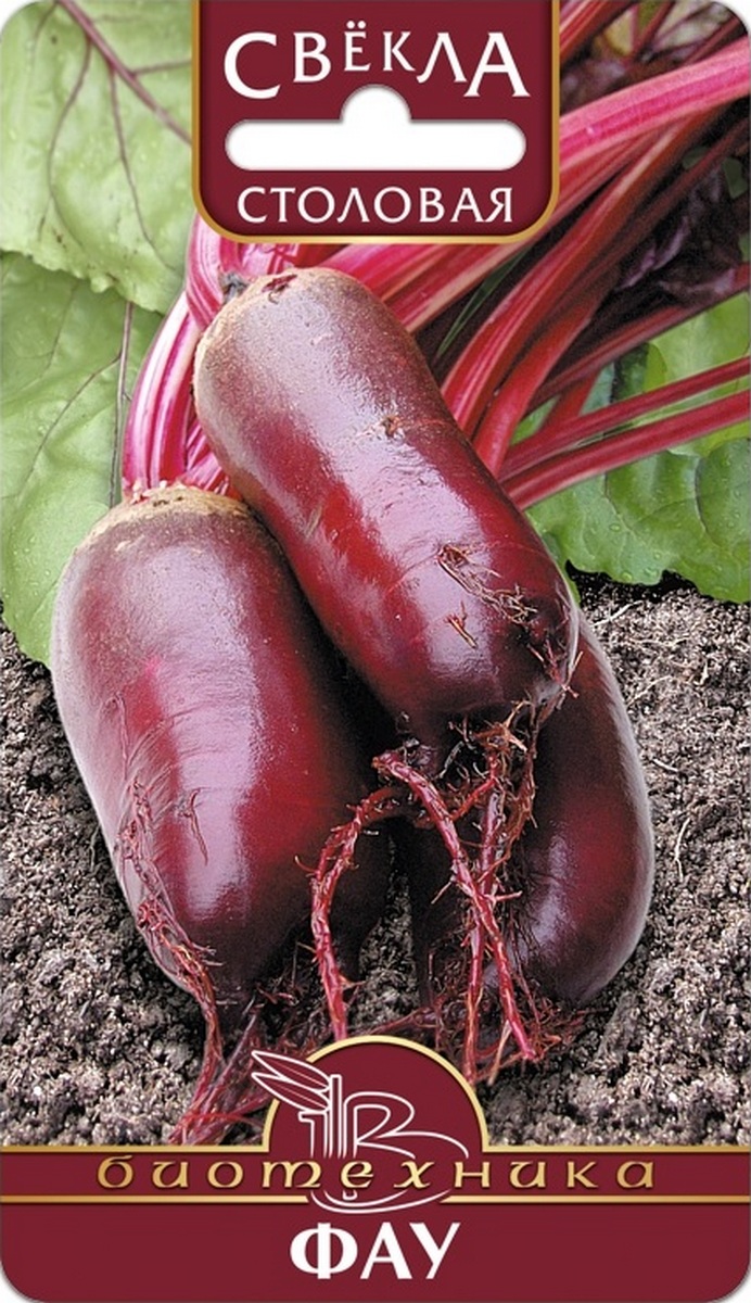 Свекла столовая Фау, 1 г Биотехника