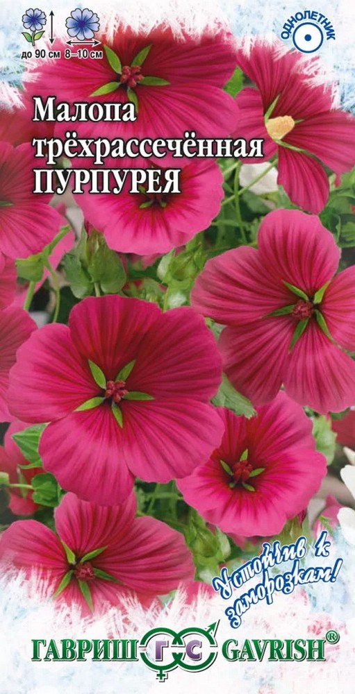 Малопа Пурпурея, 0,1 г. Устойчив к заморозкам.