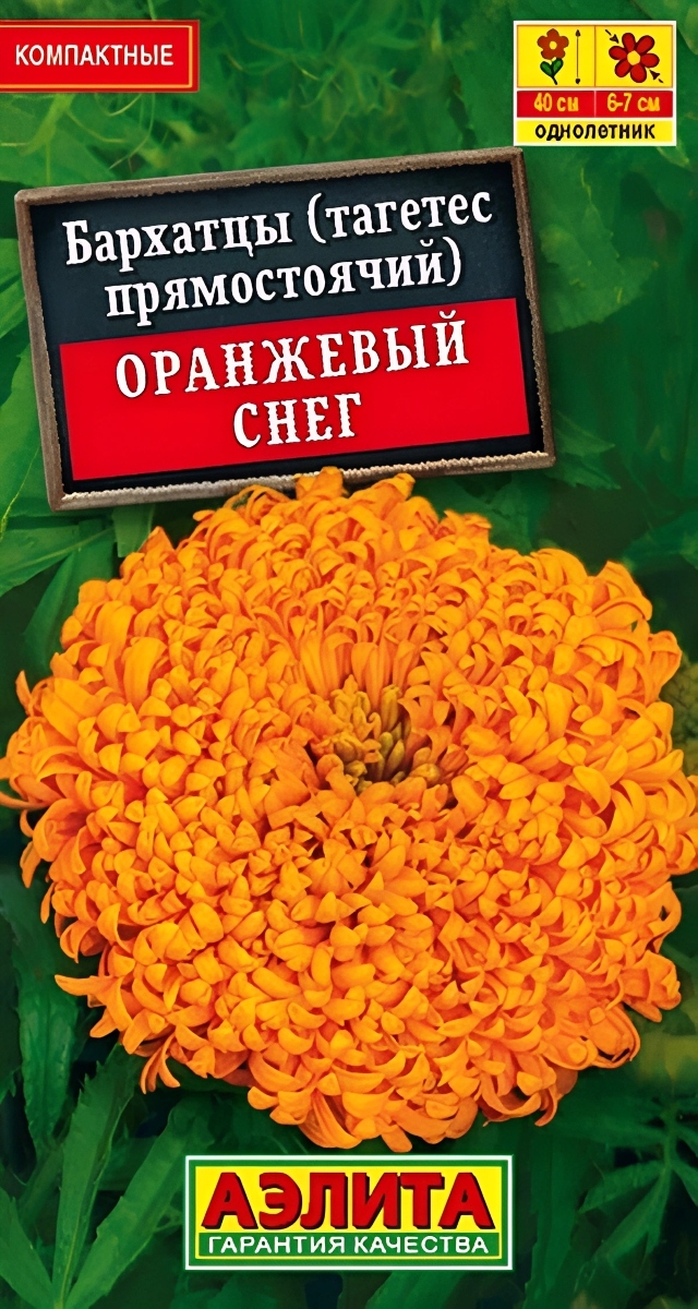 Бархатцы Оранжевый снег прямостоячие, 0,1 г