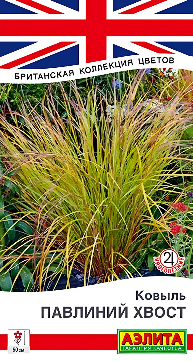 Ковыль Павлиний хвост, 5 шт.