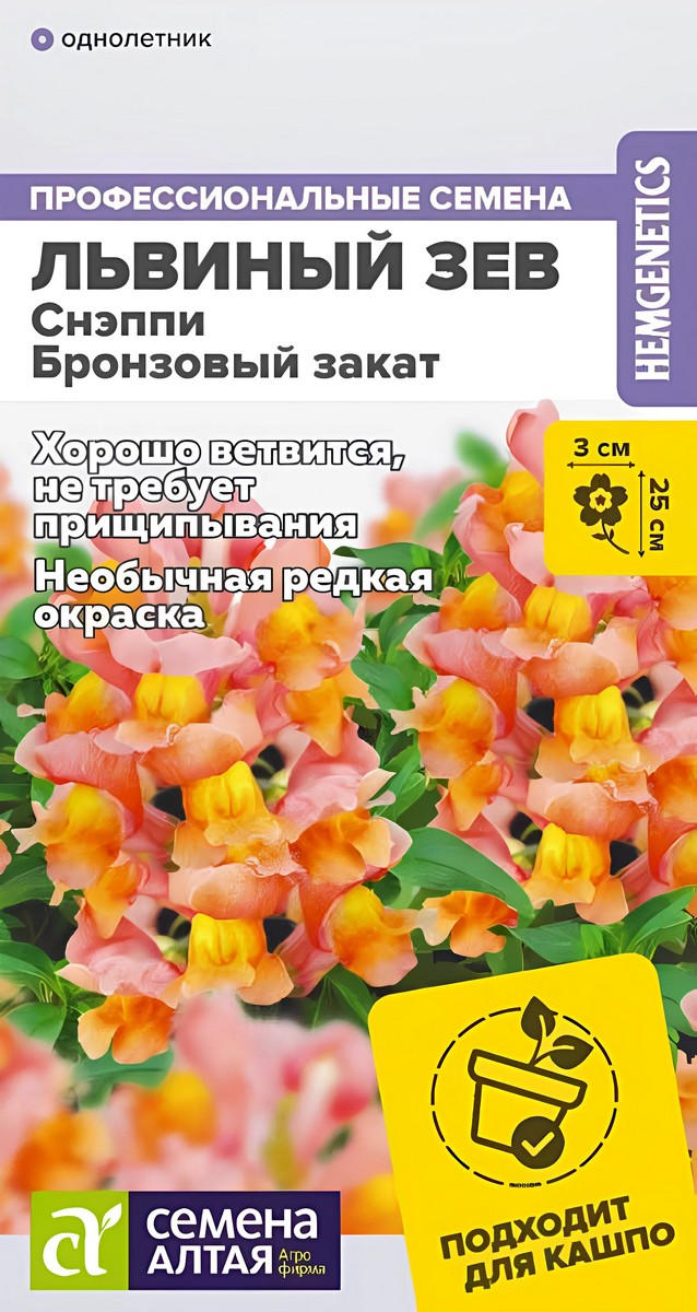 Львиный зев Снэппи Бронзовый закат, 7 шт. 