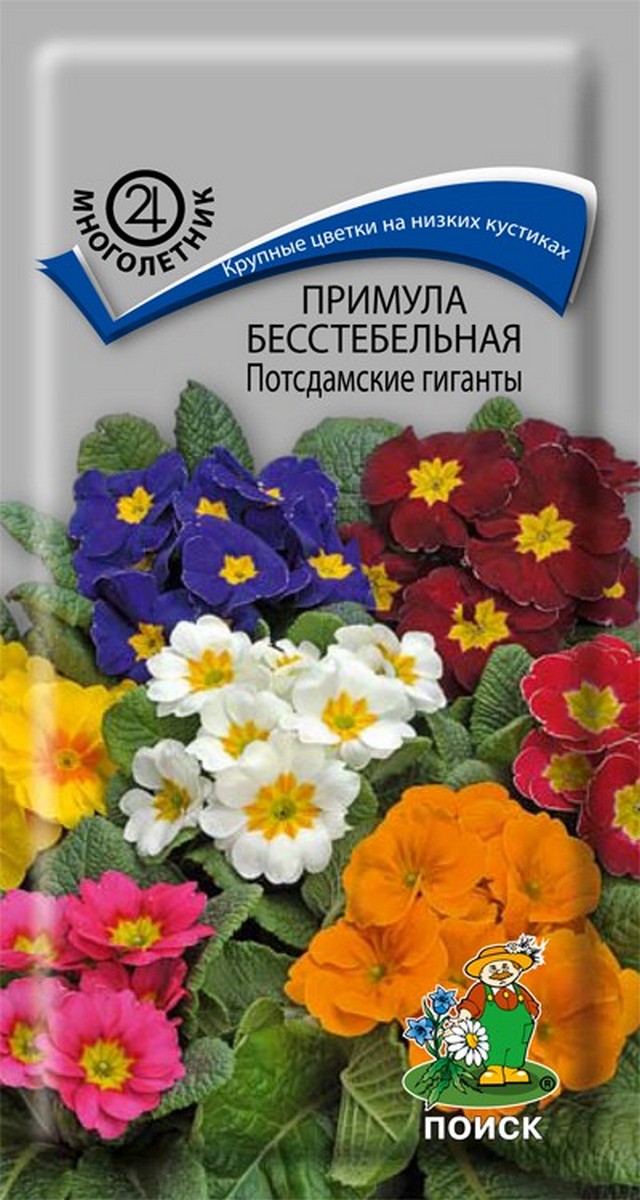 Примула бесстебельная Потсдамские гиганты, 0,05 г