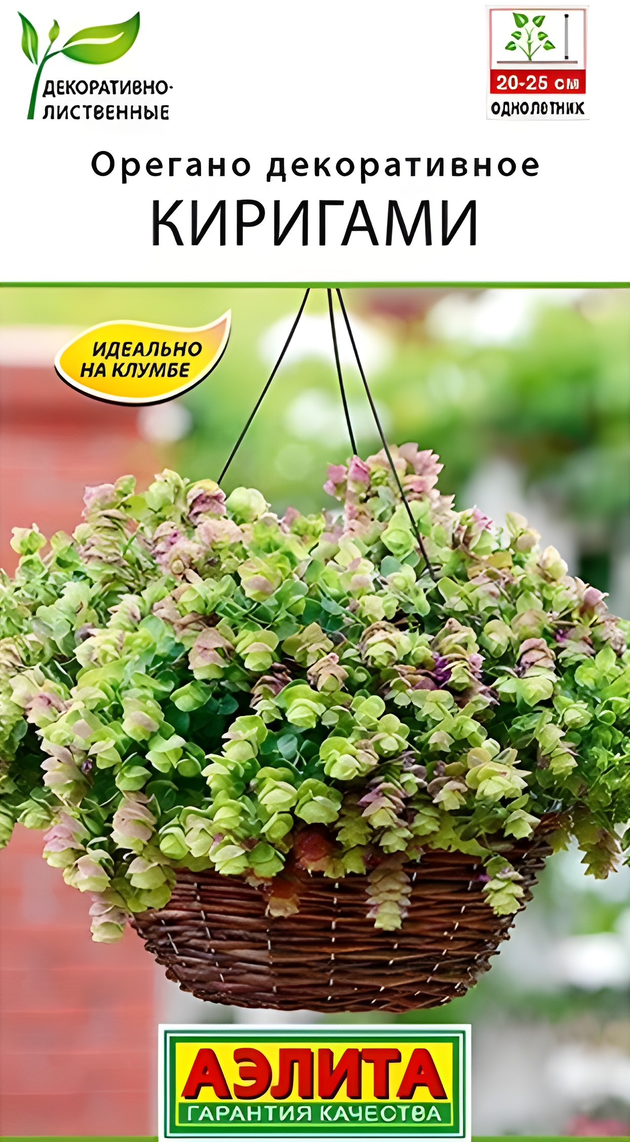 Орегано декоративное Киригами, 10 шт.