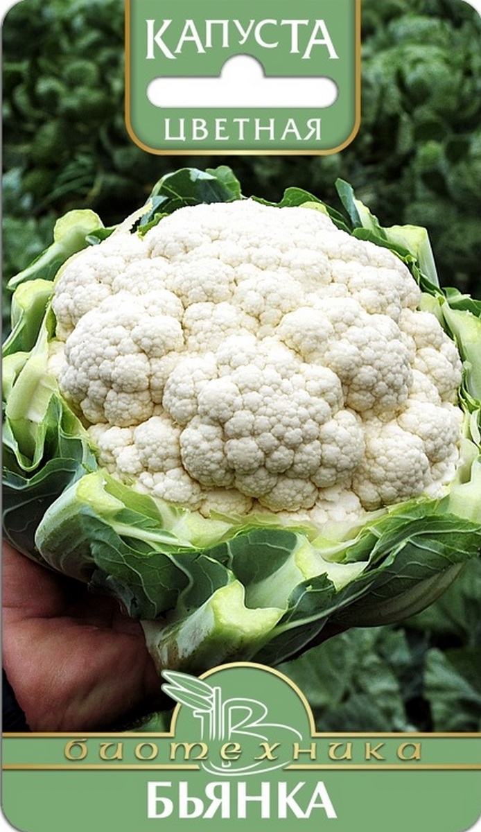 Капуста цветная Бьянка, 0,5 г. Биотехника.