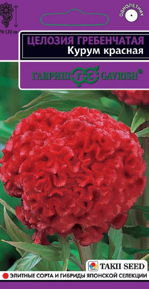 Целозия Курум красная гребенчатая, 8 шт. Эксклюзив.