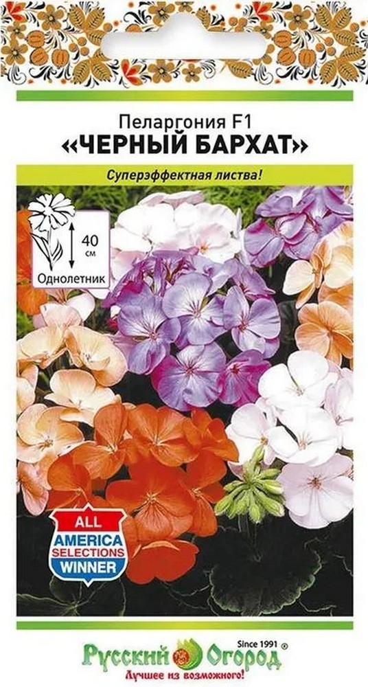 Пеларгония Черный Бархат, 5 шт. Русский огород