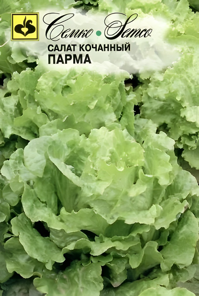 Салат кочанный Парма, 1 г