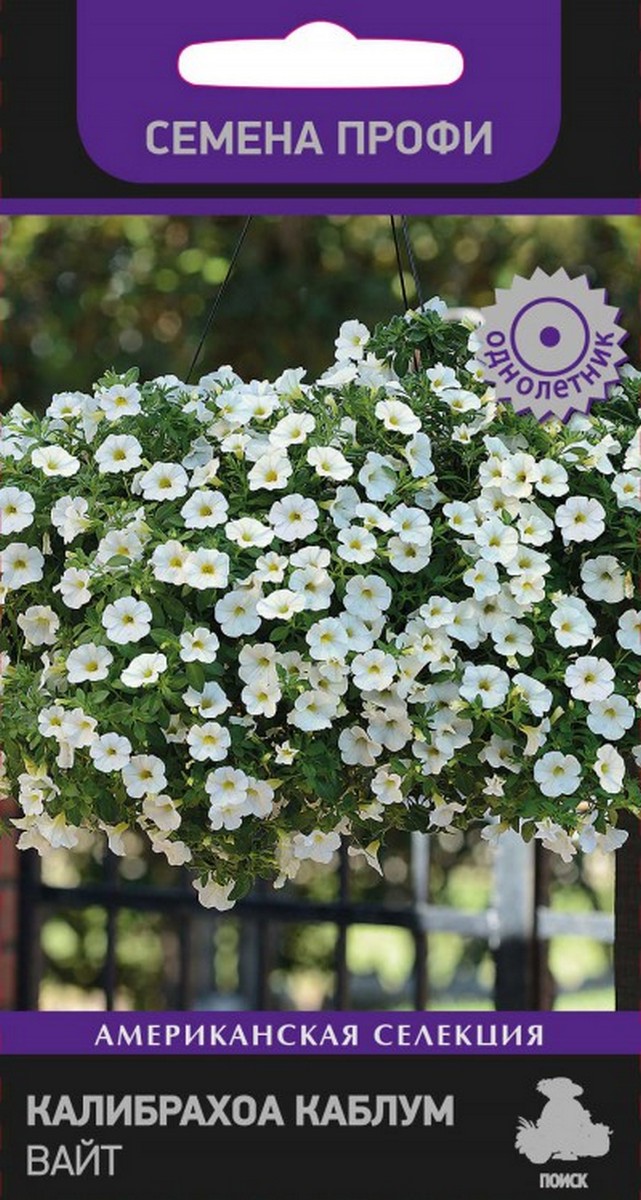Калибрахоа Каблум Вайт, 5 шт. Семена профи