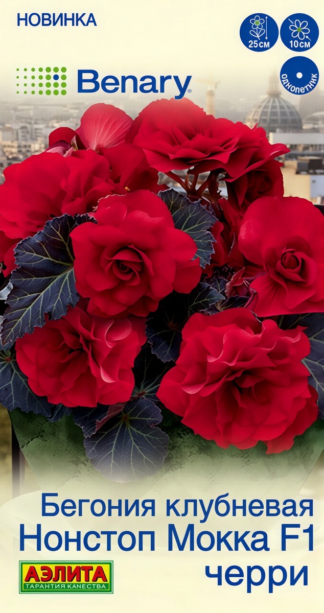 Бегония клубневая Нонстоп мокка F1 черри, 5 шт.