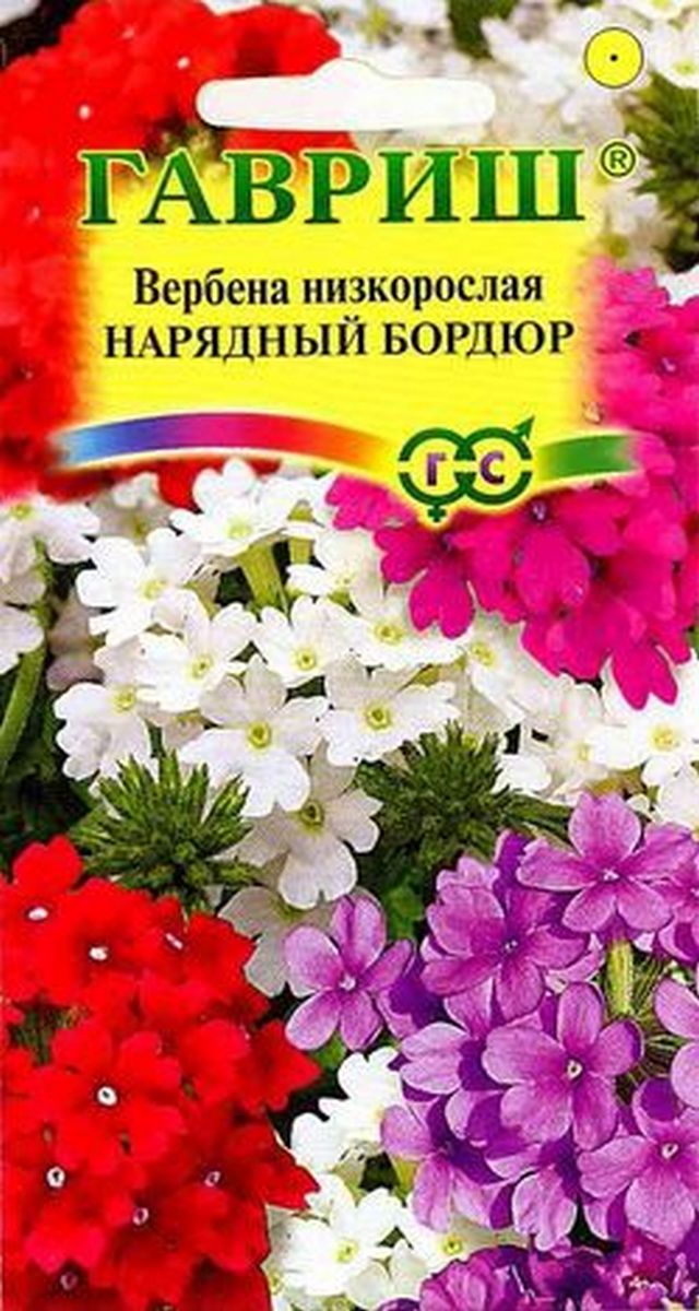 Вербена гибридная Нарядный бордюр, смесь, 0,1 г