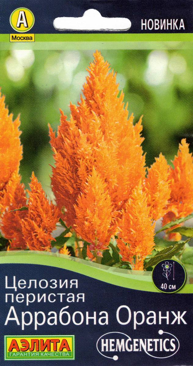 Целозия перистая Аррабона оранж, 7 шт.