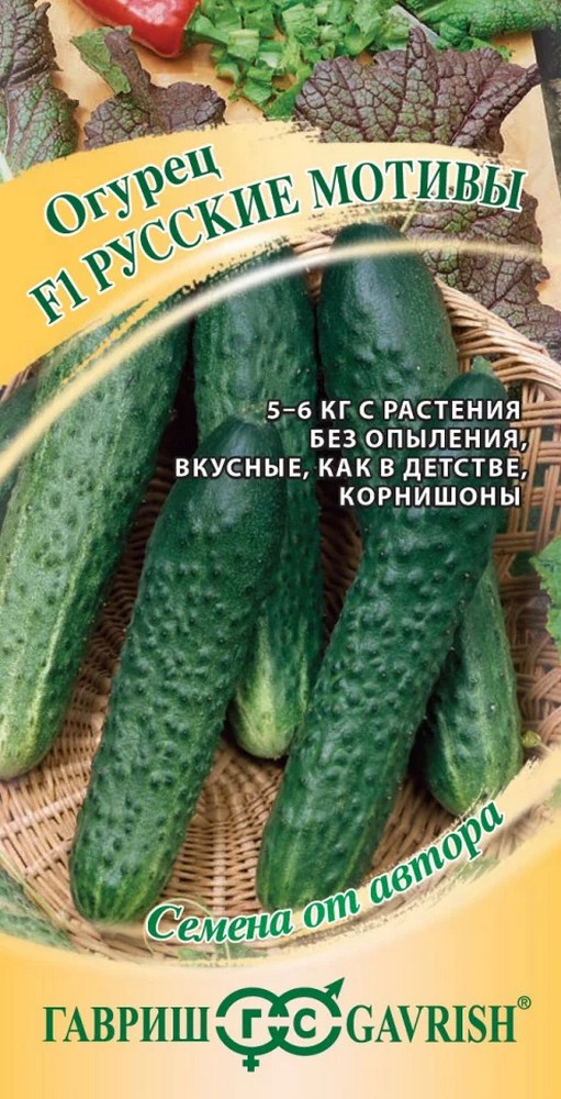 Огурец Русские мотивы F1, 10 шт. Авторские семена.