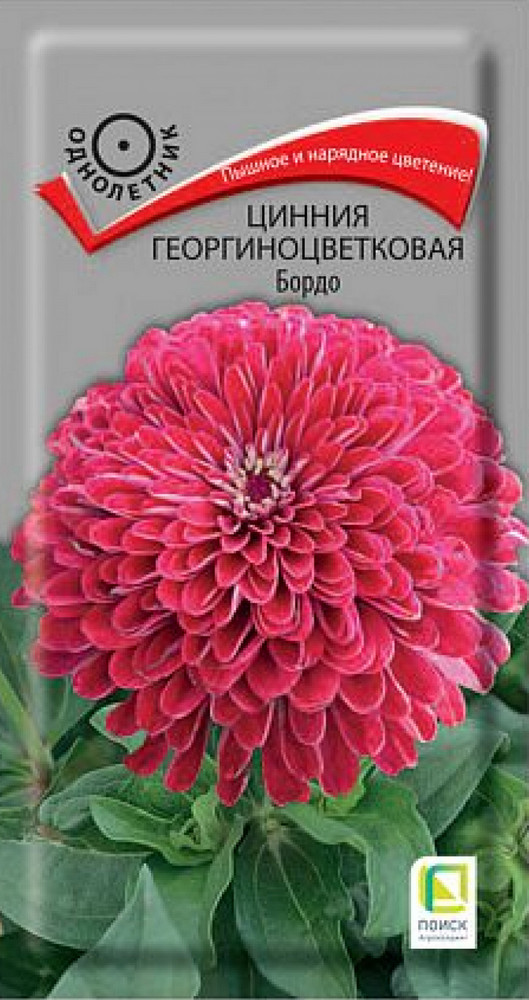 Цинния георгиноцветковая Бордо, 0,4 г