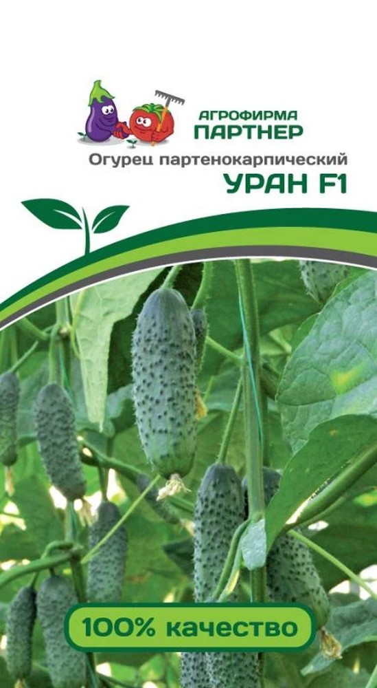 Огурец Уран F1, 5 шт. Агрофирма Партнер.