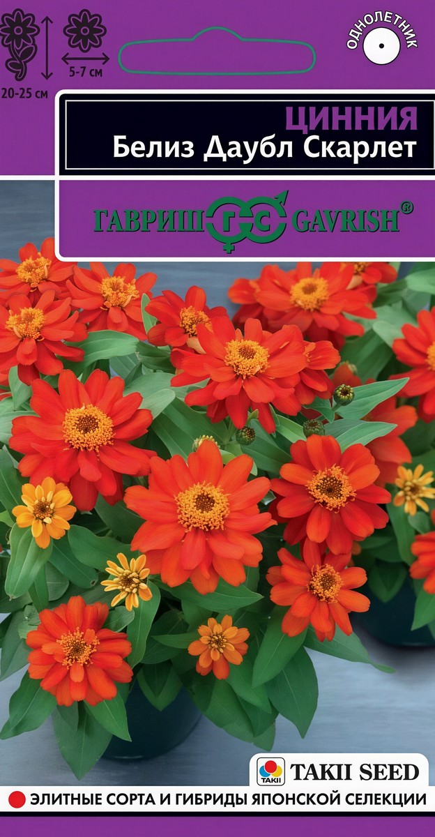 Цинния Белиз Даубл скарлет, 5 шт. Эксклюзив