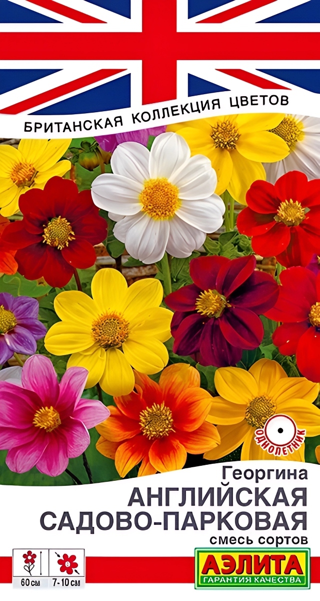 Георгина Английская садово-парковая, смесь, 0,3 г