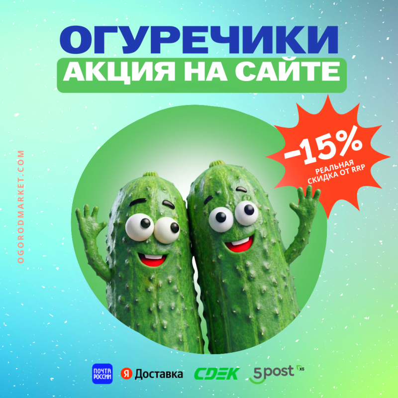 Популярные сорта огурцов