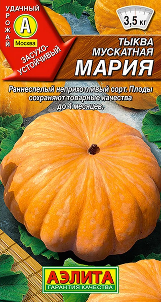 Тыква мускатная Мария, 1 г