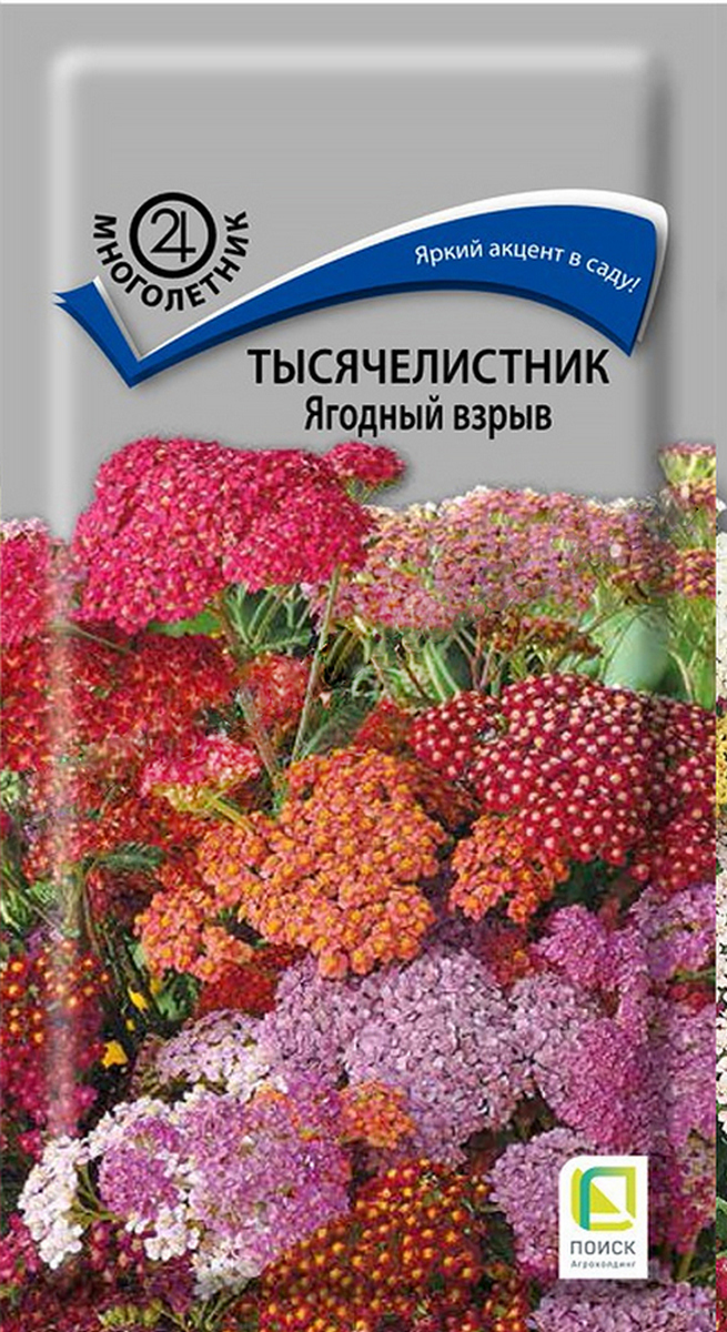 Тысячелистник Ягодный взрыв, 10 шт.