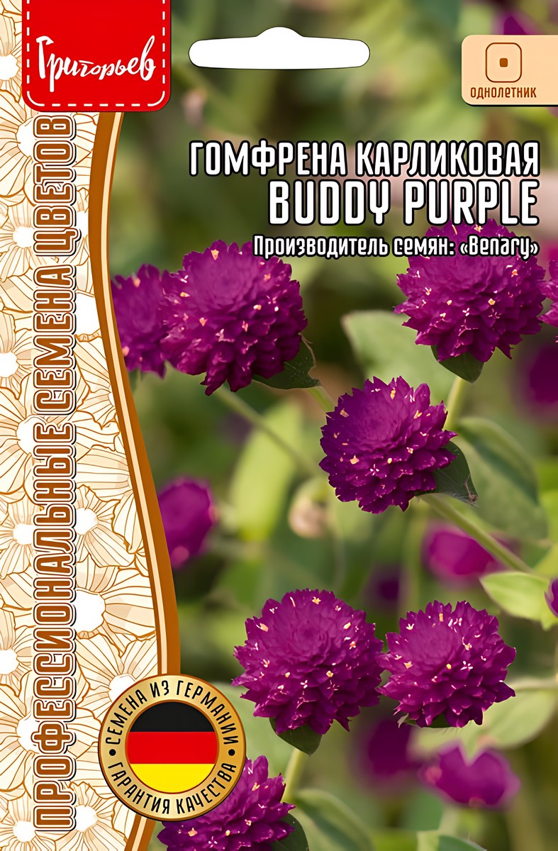 Гомфрена Buddy Purple (Бадди Пурпурный), карликовая,  5 шт.