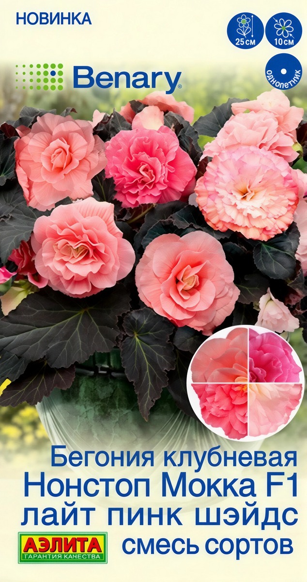Бегония клубневая Нонстоп мокка F1 лайт пинк шэйдс, смесь сортов, 5 шт.